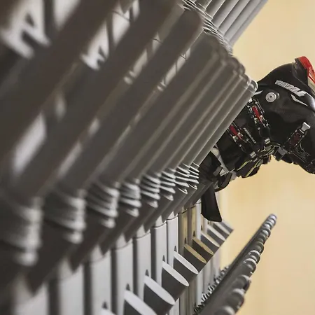 Bellevue קאנזיי