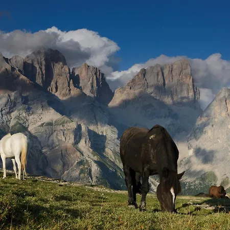 Hotel Bellevue Canazei