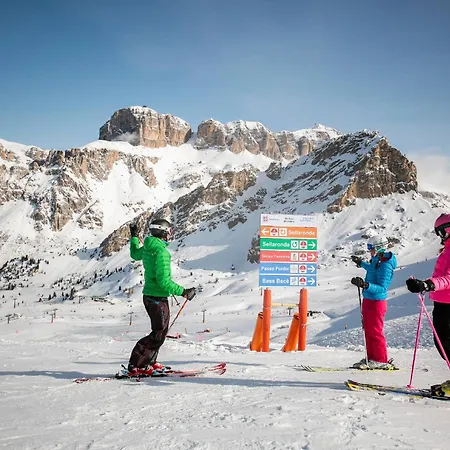 Bellevue 까나제이