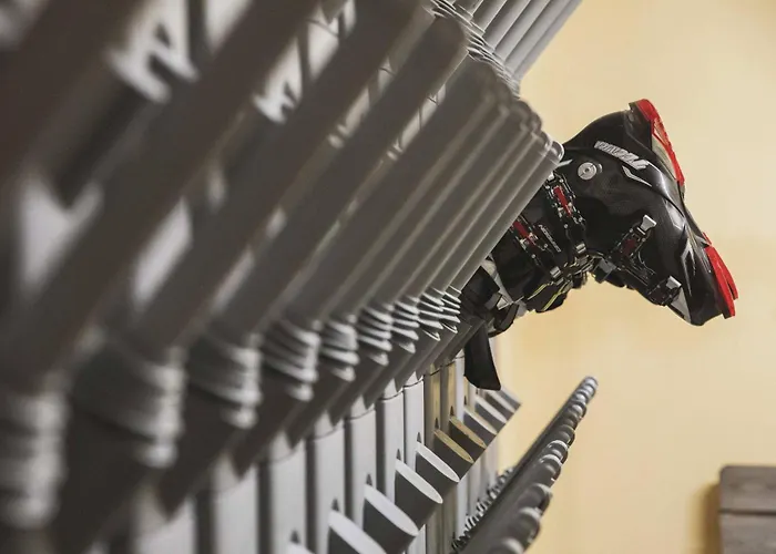 Bellevue Канацеи