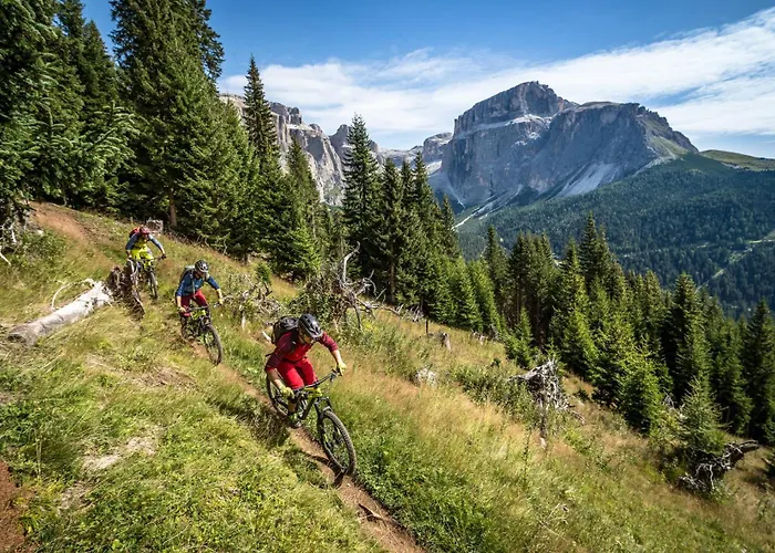 Bellevue فندق 3*