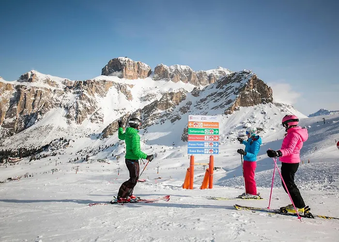 Bellevue 까나제이